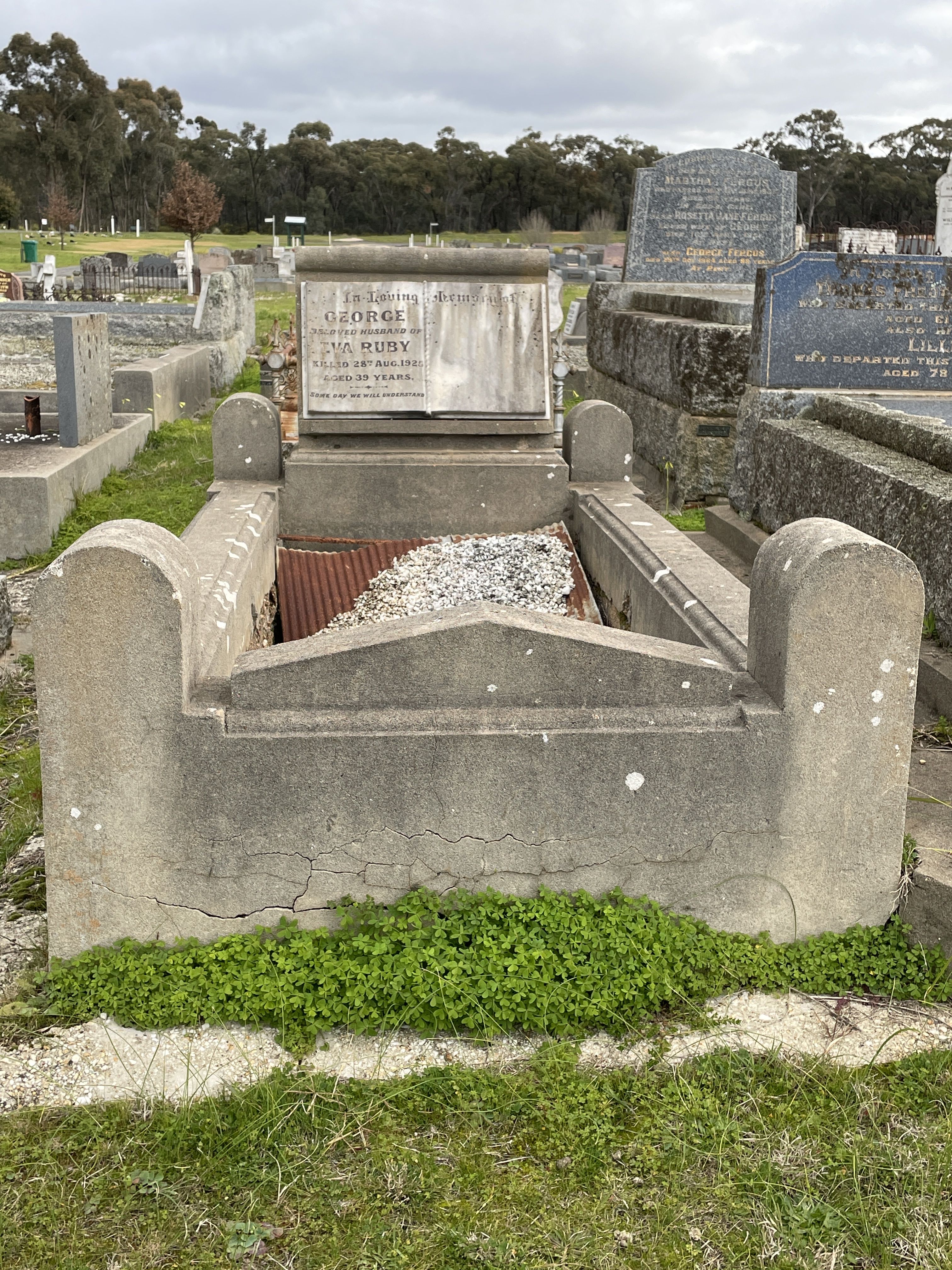 RUBY George Dyson Napier gravesite